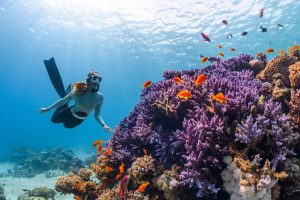 Scuba Diving Activity